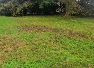 Terrain constructible - 1 000 m²