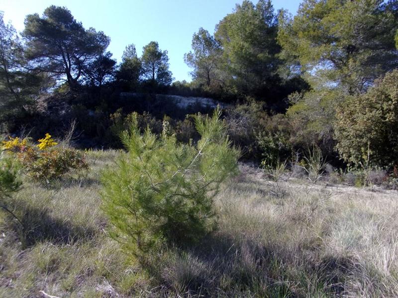 Terrain de loisirs - 2 180 m²