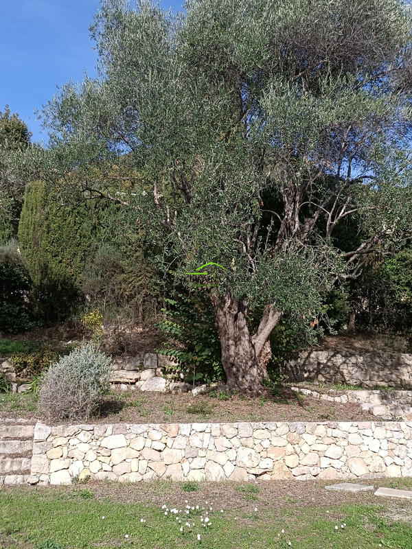 Duplex - 157 m² - 5 pièces