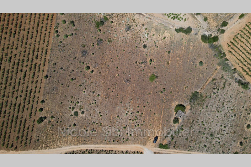 Terrain agricole - 10 255 m²