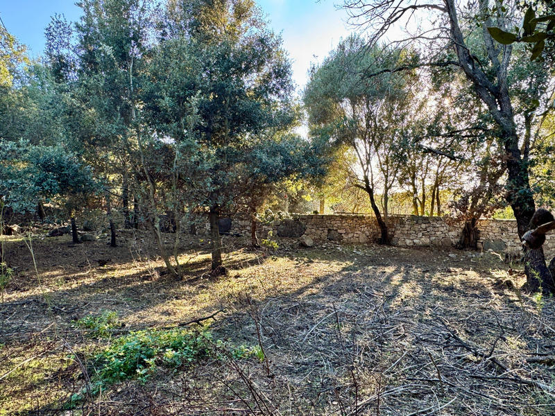 Propriété - 201 m² - 4 pièces