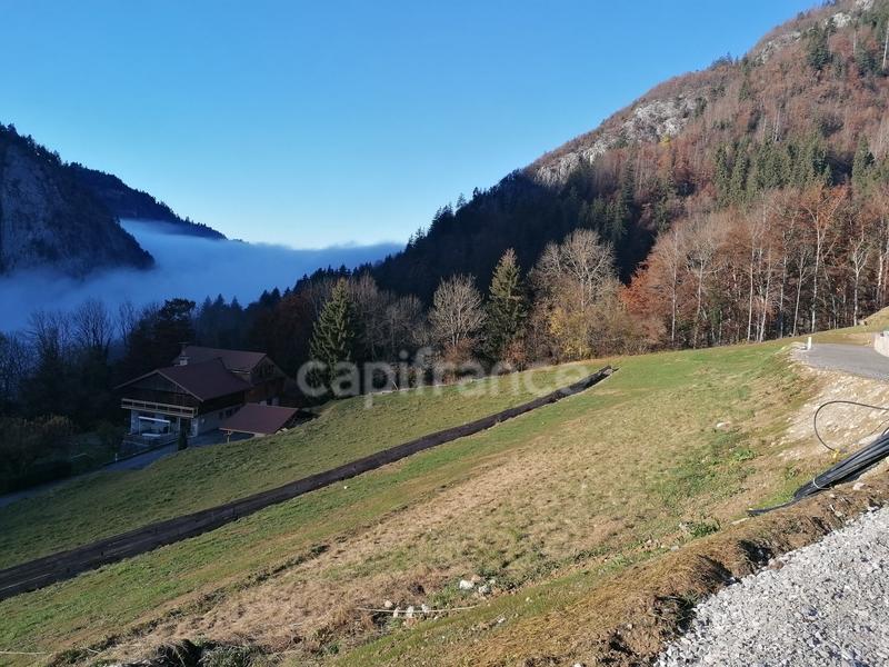 Terrain constructible - 1 336 m²