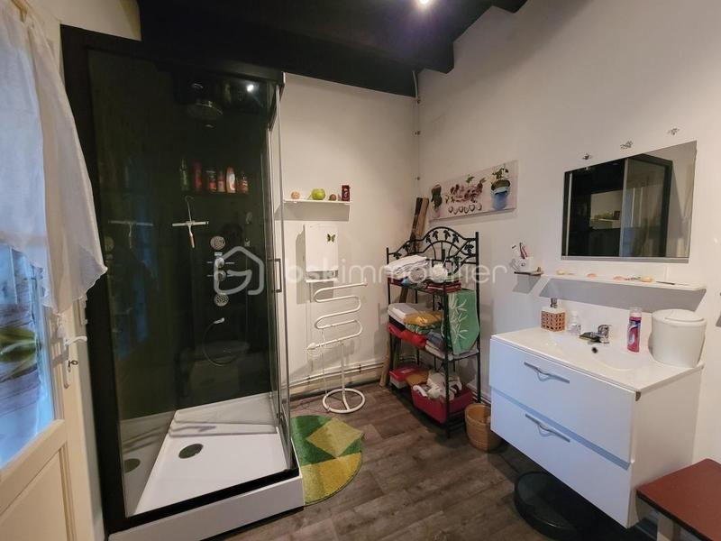 Maison en pierre - 239 m² - 10 pièces