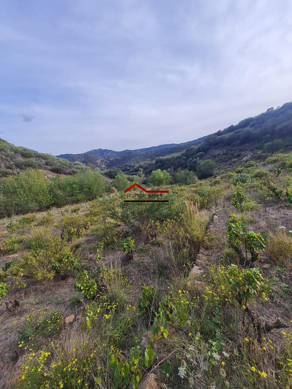 Terrain agricole - 10 225 m²