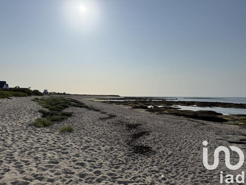 Appartement - 47 m² - 3 pièces