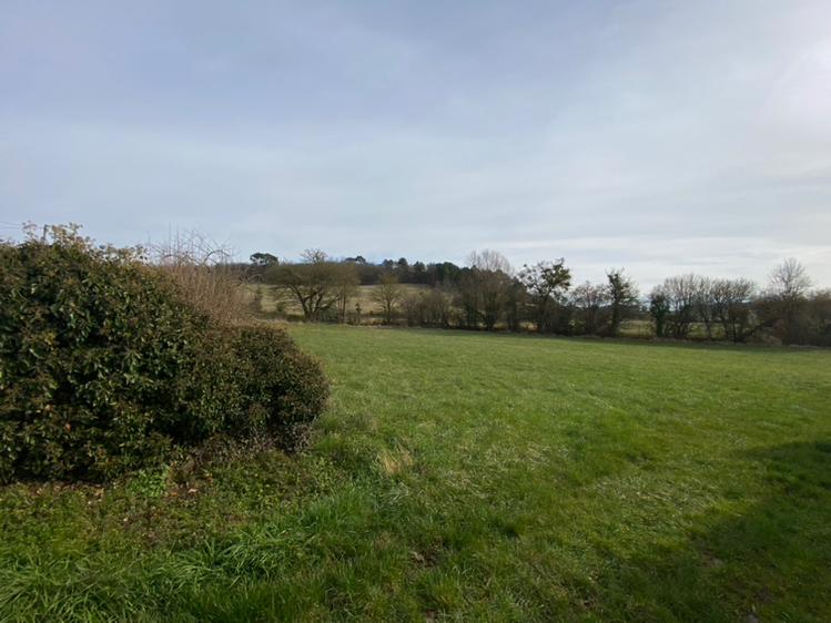 Corps de ferme - 300 m² - 10 pièces