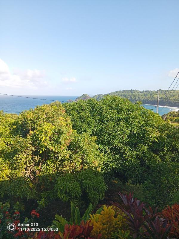 Immeuble - 240 m² - 12 pièces