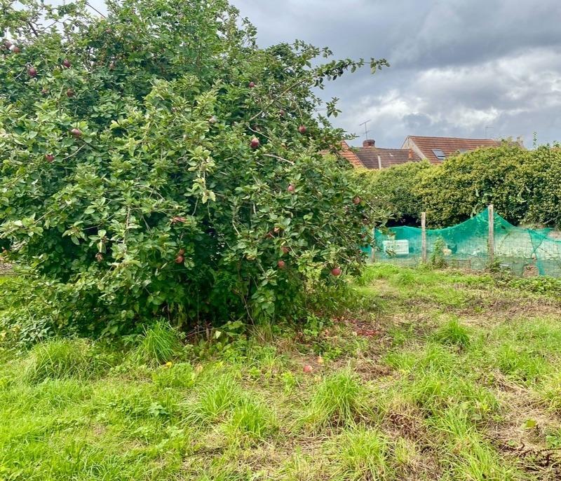 Terrain constructible - 818 m²