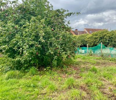 Terrain constructible - 818 m²