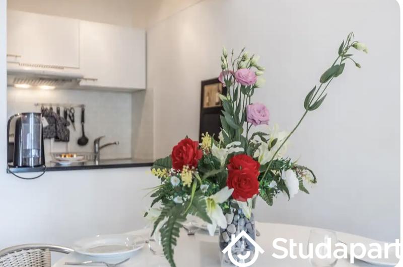 Appartement - 39 m² - 1 pièce