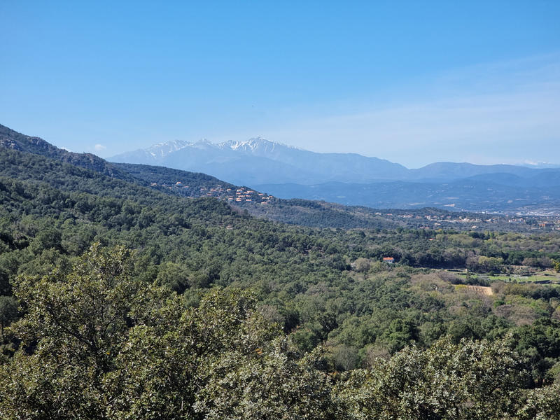 Propriété - 130 m² - 4 pièces