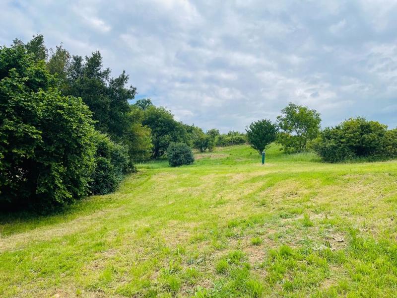 Maison en pierre - 125 m² - 5 pièces