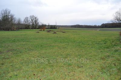 Terrain - 1 050 m²
