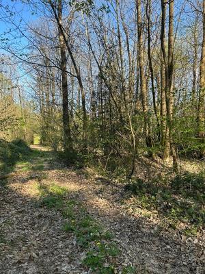 Terrain de loisirs - 16 366 m²