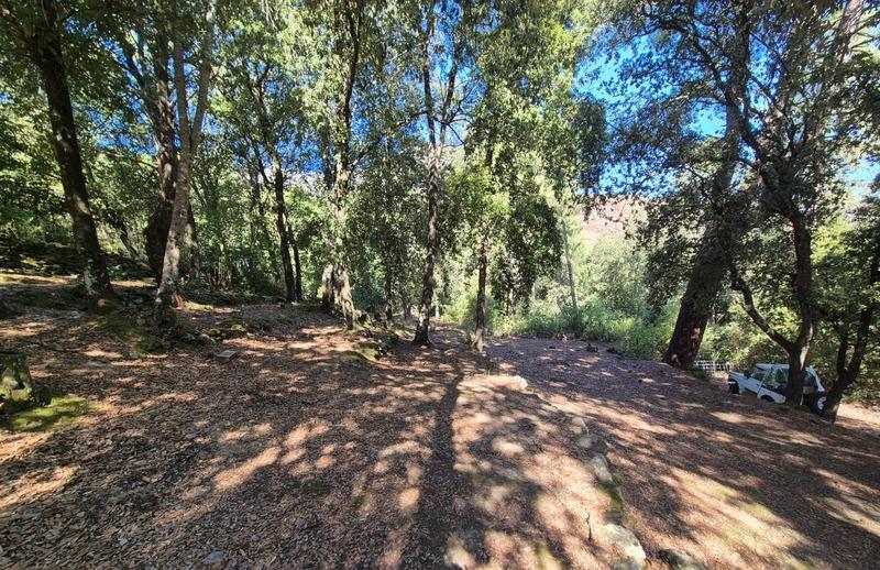 Propriété - 208 m² - 7 pièces