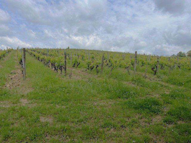 Maison - 231 m² - 8 pièces