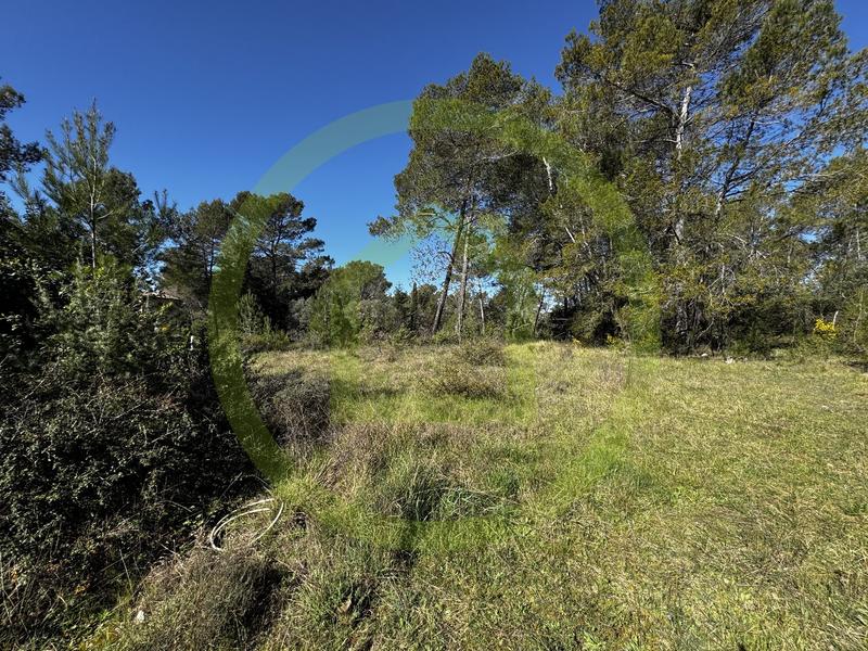 Terrain agricole - 10 000 m²