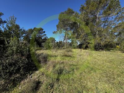 Terrain agricole - 10 000 m²