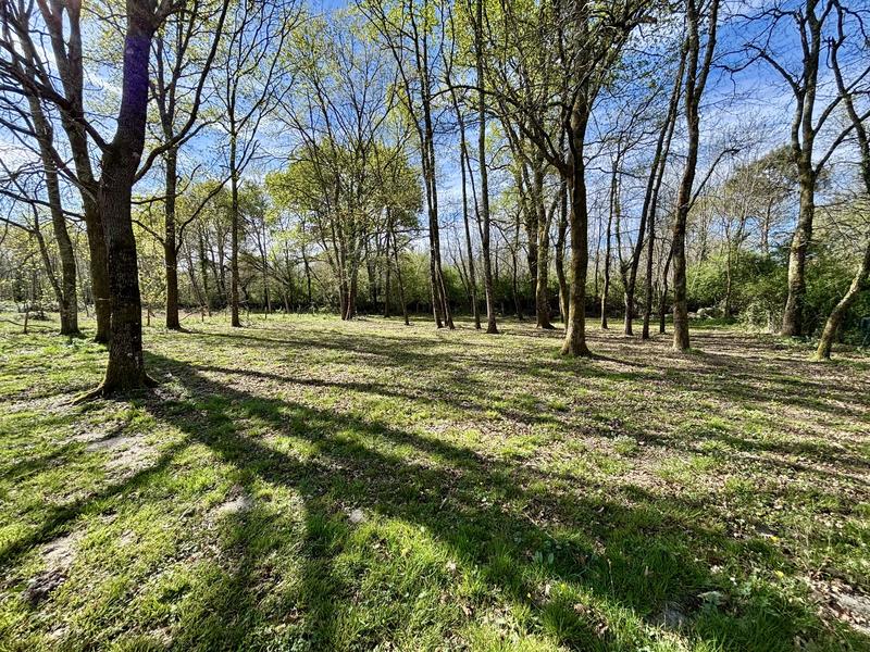 Maison - 185 m² - 6 pièces