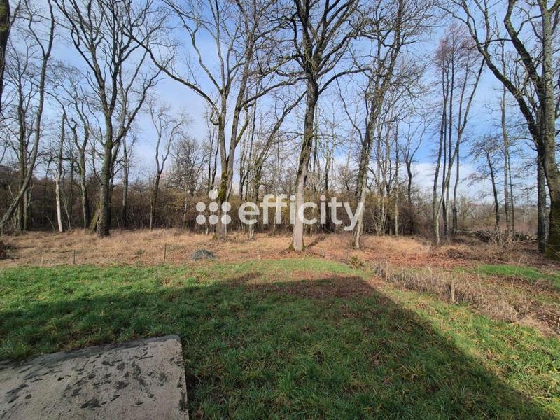 Pavillon - 120 m² - 6 pièces