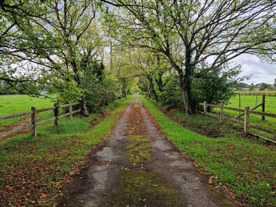 Maison - 185 m² - 7 pièces