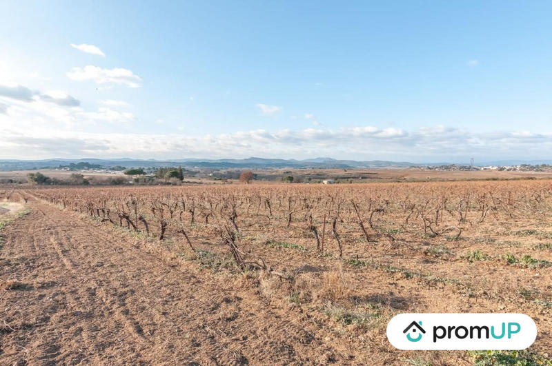 Terrain agricole - 57 000 m²