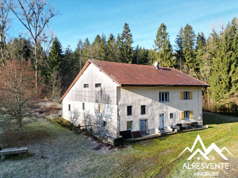 Moulin - 160 m² - 5 pièces