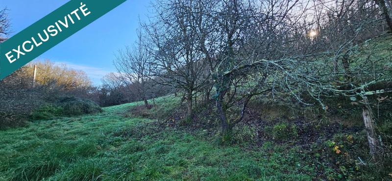 Terrain - 22 616 m²