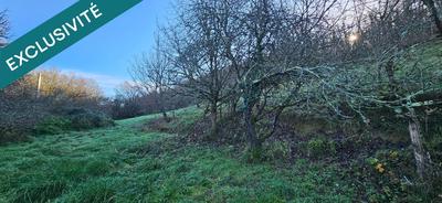 Terrain - 22 616 m²