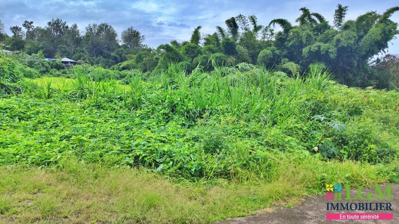 Terrain constructible - 550 m²