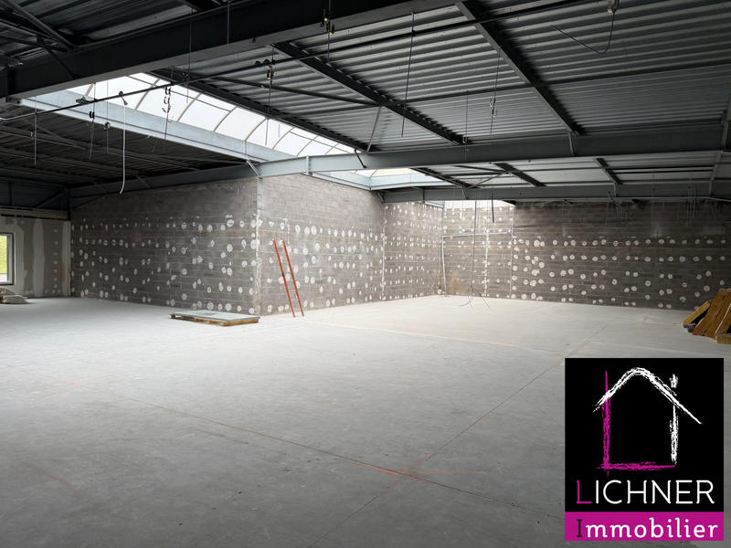 Local commercial - 419 m²