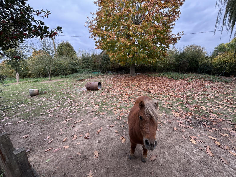 Maison - 96 m² - 5 pièces