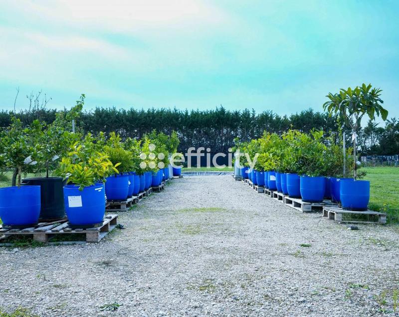 Demeure - 380 m² - 6 pièces