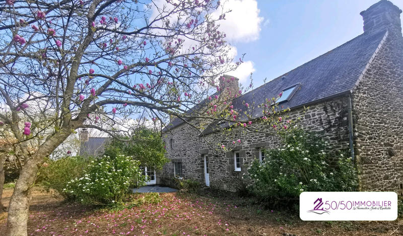 Maison ancienne - 250 m² - 9 pièces