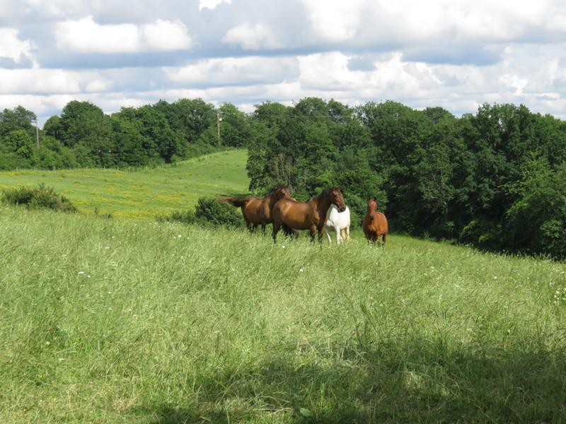 Maison - 246 m² - 6 pièces