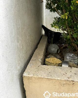 Appartement - 34 m² - 1 pièce