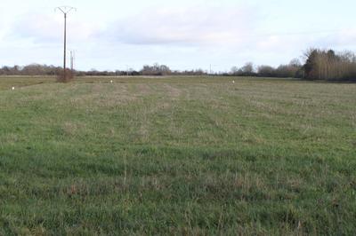 Terrain constructible - 2 919 m²