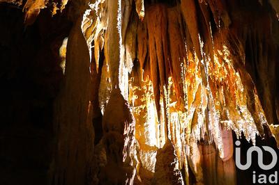 Maison - 200 m² - 10 pièces