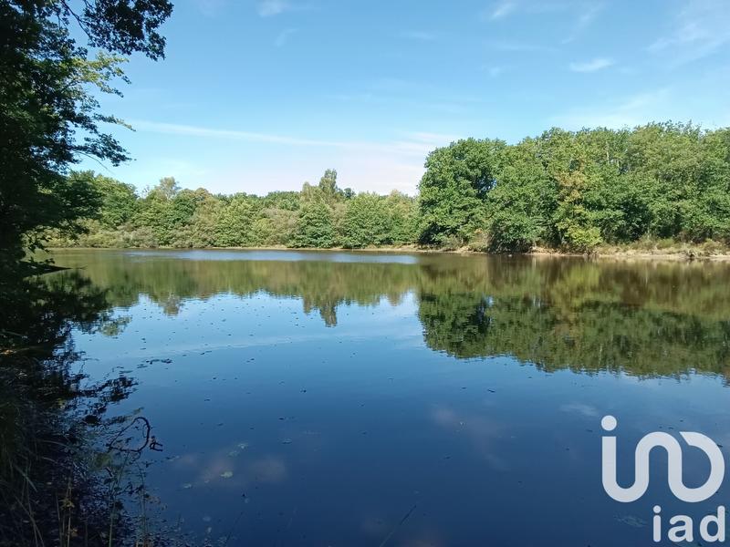 Terrain - 37 398 m²