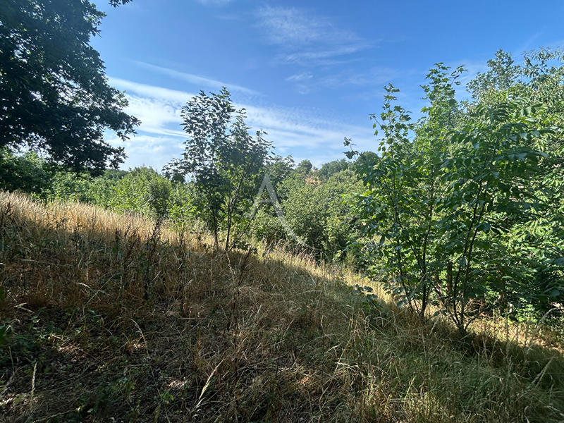 Terrain de loisirs - 2 498 m²