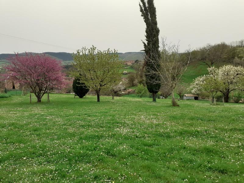 Terrain - 1 800 m²