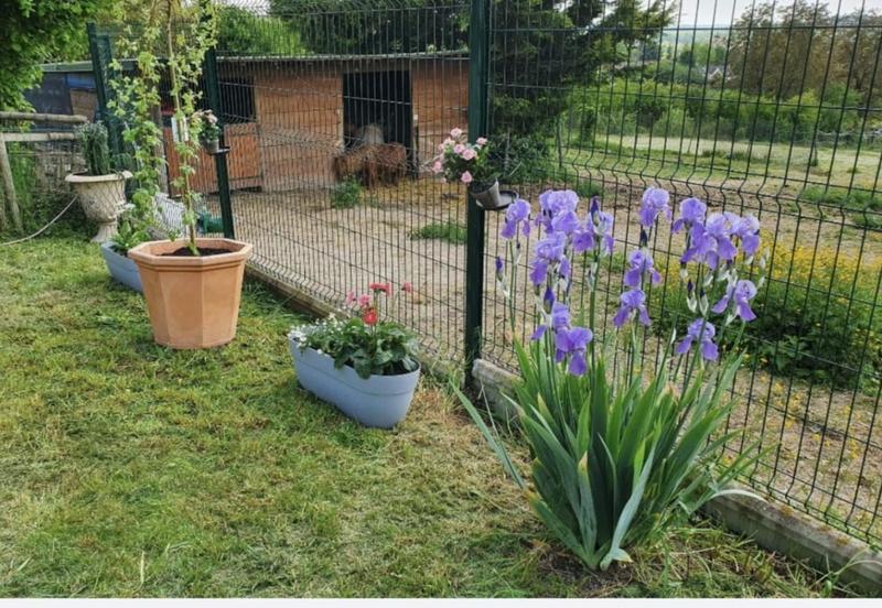 Maison - 105 m² - 3 pièces