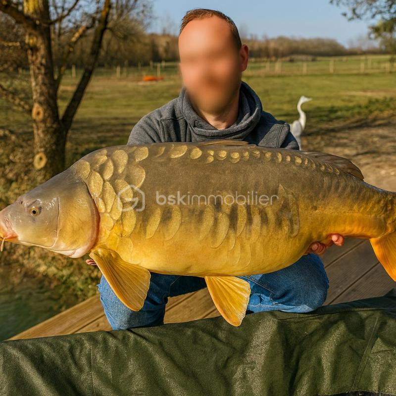 Terrain de loisirs - 10 885 m²