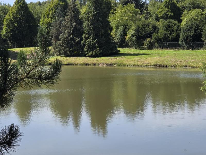 Étang - 43 885 m²