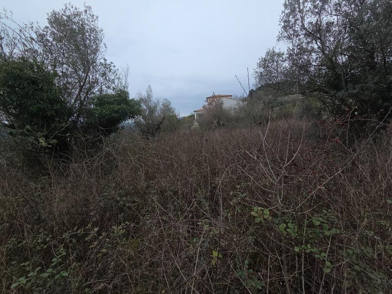 Terrain constructible - 9 849 m²