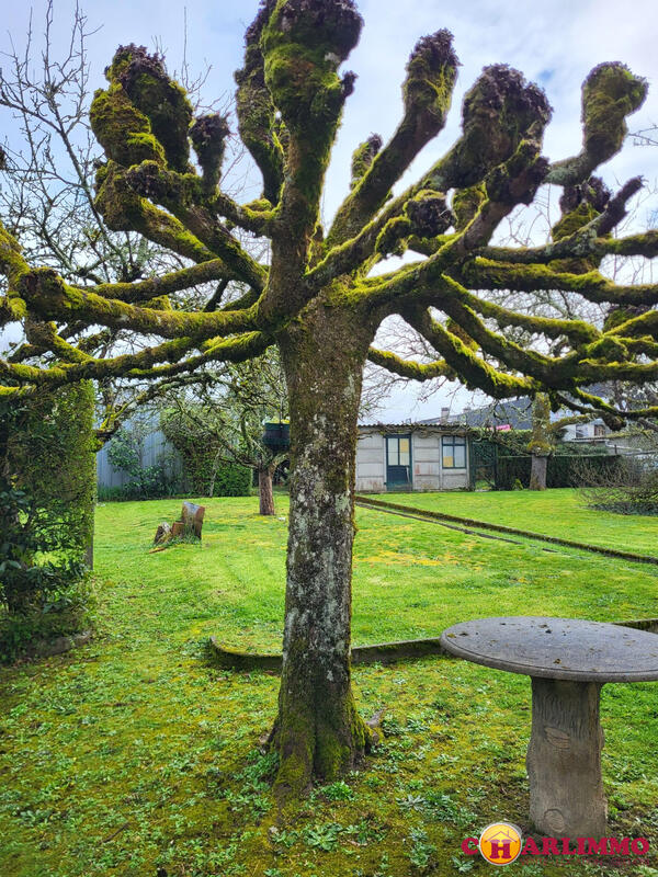 Maison traditionnelle - 124 m² - 6 pièces