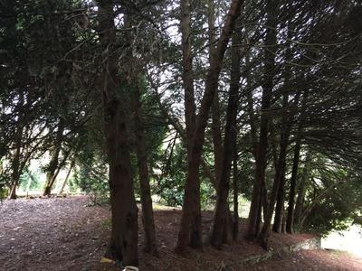 Maison - 112 m² - 6 pièces