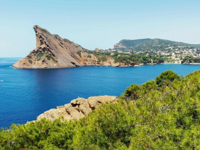 Viager - Appartement - 61 m² - 3 pièces