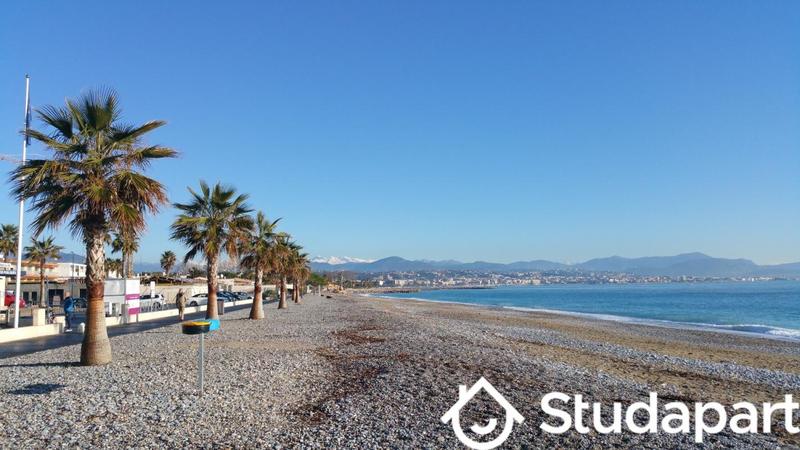 Appartement - 30 m² - 2 pièces