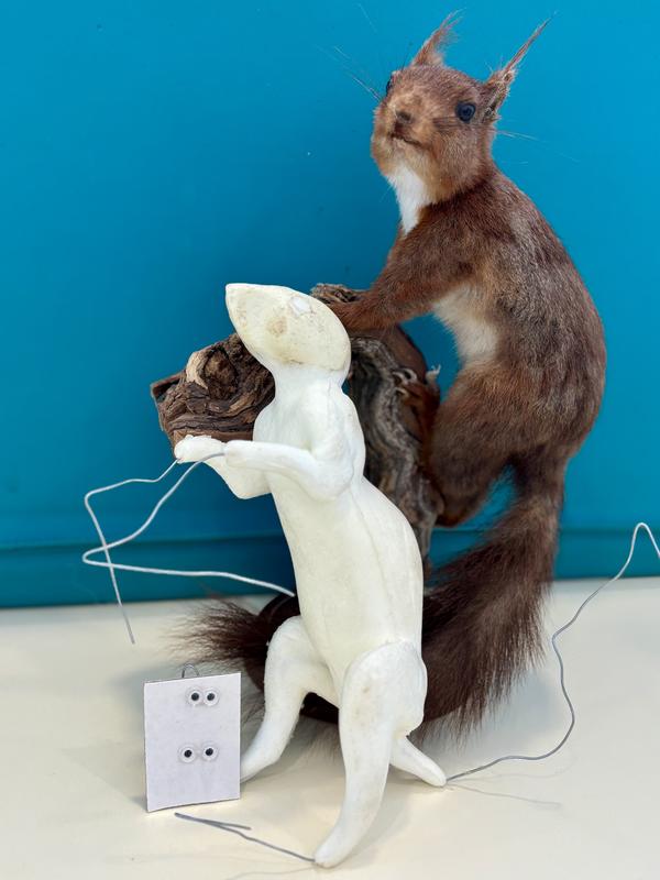 Rdv sciences : la taxidermie, c'est trippant